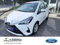 Toyota Yaris Comfort Rückfahrkamera Multif.Lenkrad Klimaanlage Alb - thumbnail 1