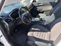 Ford Galaxy Hybrid Titanium Weiß - thumbnail 8