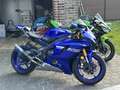 Yamaha YZF-R6 - thumbnail 20