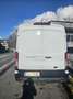 Ford Transit Bus Minibus 2,0 EcoBlue HD L3H2 410 Trend - thumbnail 2