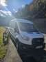 Ford Transit Bus Minibus 2,0 EcoBlue HD L3H2 410 Trend - thumbnail 6