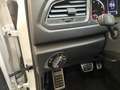 Volkswagen T-Roc 1.5 TSI DSG Sport ACC Klima Bluetooth Weiß - thumbnail 13