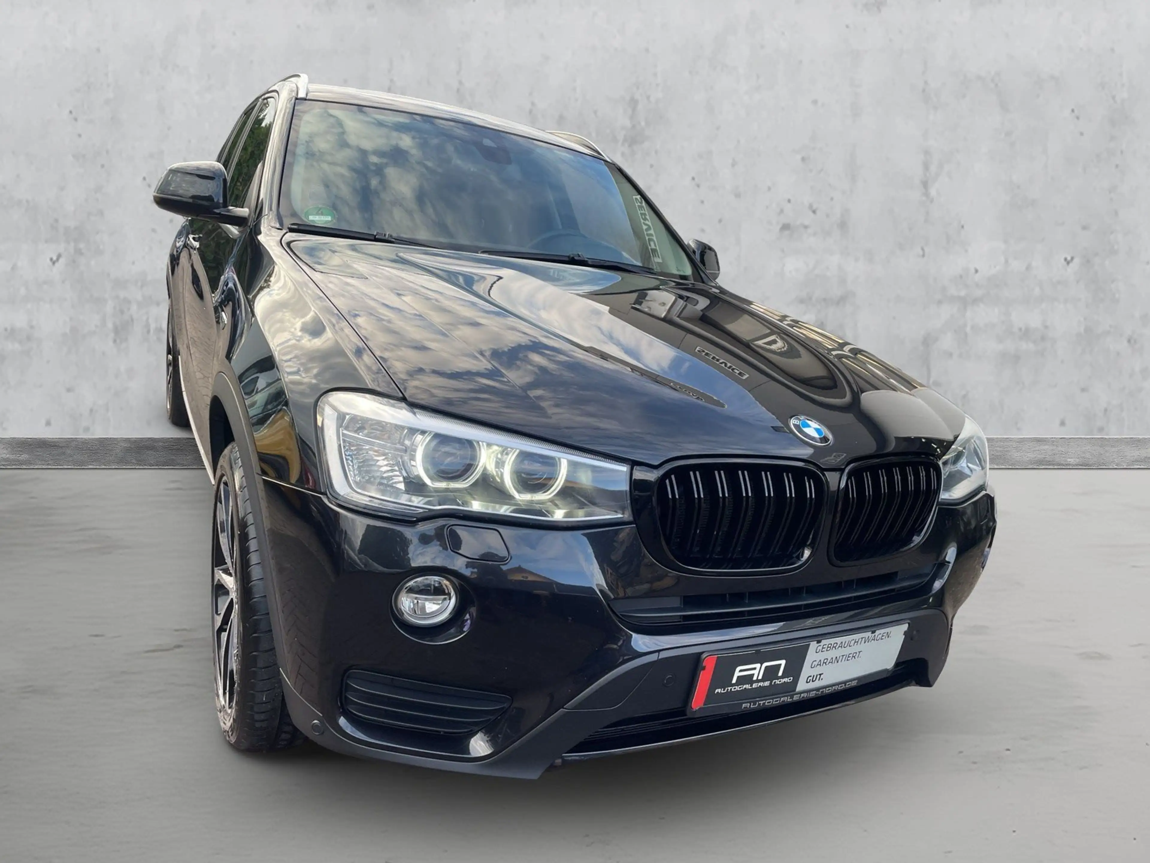 BMW X3 xDrive20d Advantage AHK+Bi-Xenon+Leder+Kam — photo 6