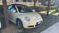 Volkswagen New Beetle Cabrio 1.9 tdi limited Red Edition - thumbnail 11