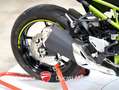 Kawasaki Z 900 Z 900 solo 9.504 km - scarico SC Project - thumbnail 18