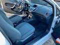 Ford Fiesta Fiesta 1.25 Champions Edition Weiß - thumbnail 3
