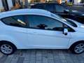 Ford Fiesta Fiesta 1.25 Champions Edition Weiß - thumbnail 1