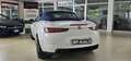 Alfa Romeo Spider Spider 2.2 JTS cabrio Bílá - thumbnail 4