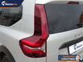 Dacia Jogger 1.0 tce Extreme UP Gpl 100cv 7p.ti Grau - thumbnail 30