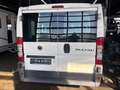 Fiat Ducato Kombi 30 120 Weiß - thumbnail 5