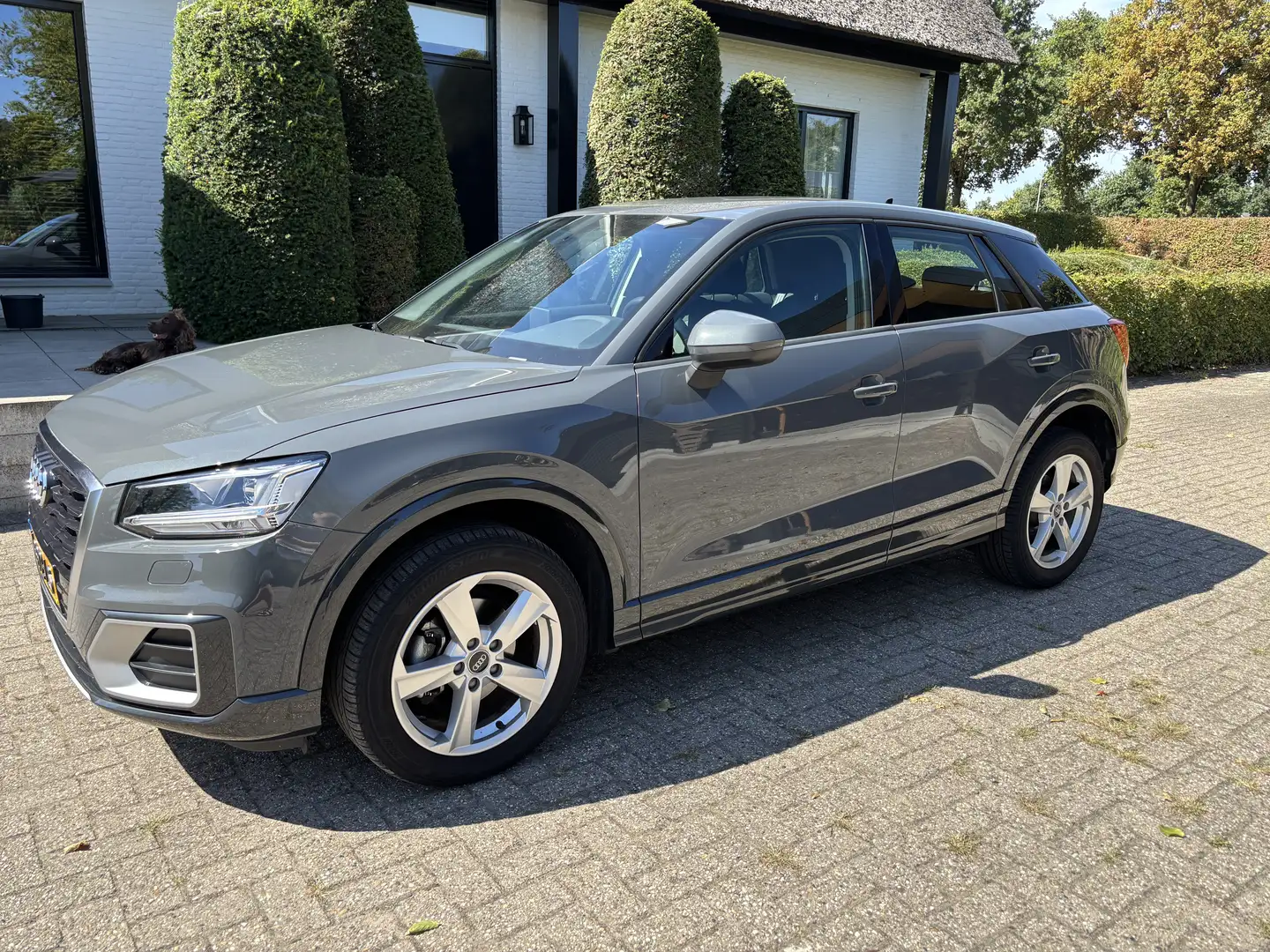 Audi Q2 35 TFSI epic Szürke - 1