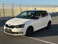 Skoda Fabia Fabia 1.0 MPI 75 CV Ambition Bianco - thumbnail 15