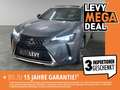 Lexus UX 250h UX 250 Style Edition +CarPlay+Kamera+SHZ+PDC+ siva - thumbnail 1
