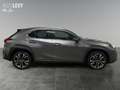 Lexus UX 250h UX 250 Style Edition +CarPlay+Kamera+SHZ+PDC+ siva - thumbnail 7