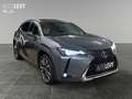 Lexus UX 250h UX 250 Style Edition +CarPlay+Kamera+SHZ+PDC+ siva - thumbnail 8