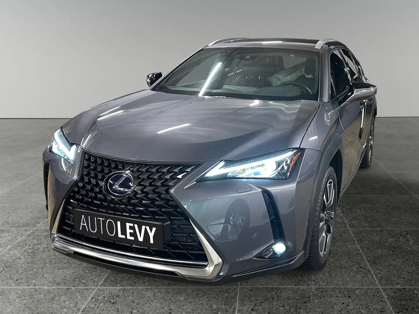 Lexus UX 250h UX 250 Style Edition +CarPlay+Kamera+SHZ+PDC+ siva - 2