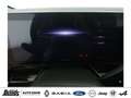 Renault Austral Mild Hybrid 160 Automatik TECHNO KLIMAAUTOMATIK PD Rot - thumbnail 15