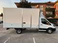 Ford Transit FURGONATO 350 L4 NUOVO KM ZERO!! Bianco - thumbnail 8