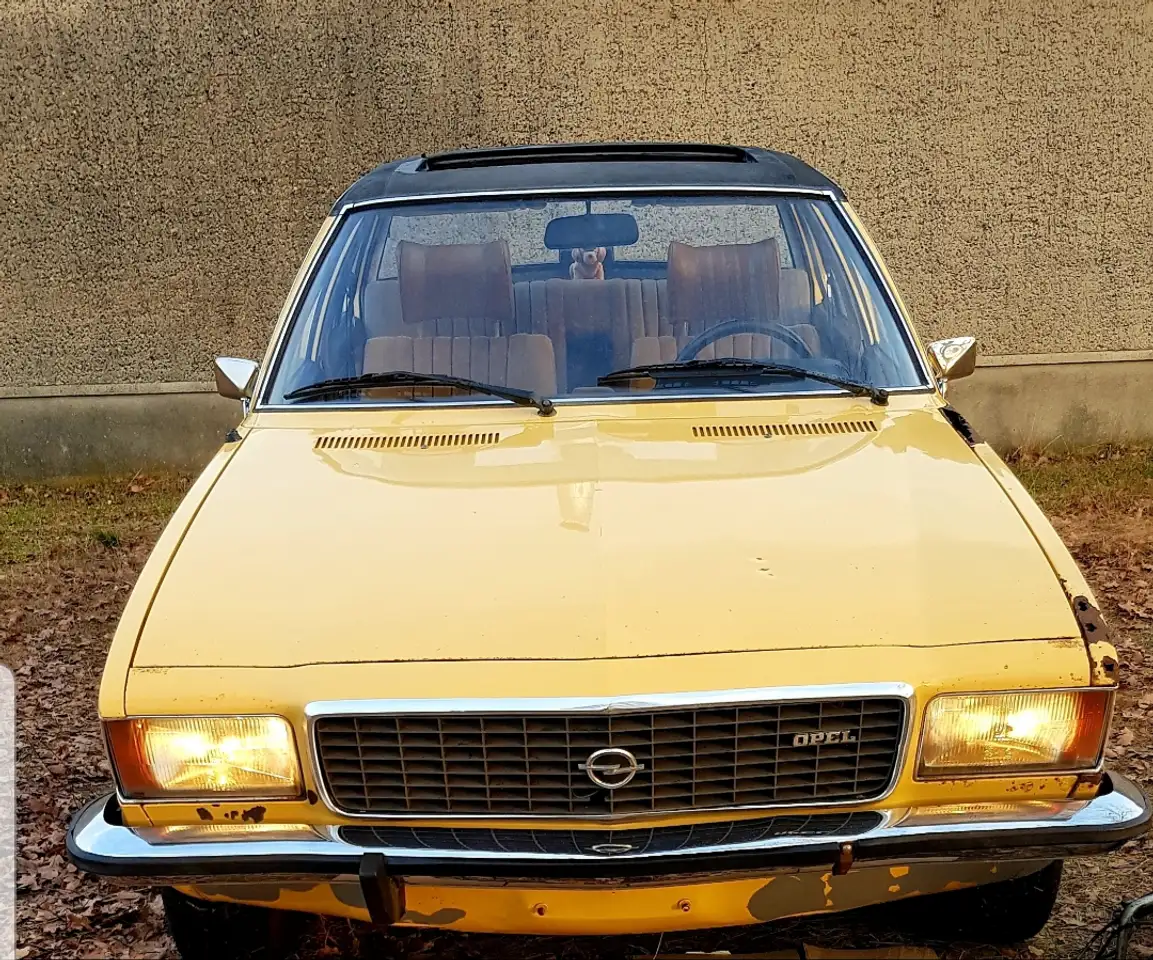 Opel Commodore B 2.5 Aut Schiebedach, foto 2