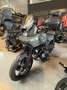 Harley-Davidson Pan America SPECIAL Verde - thumbnail 3