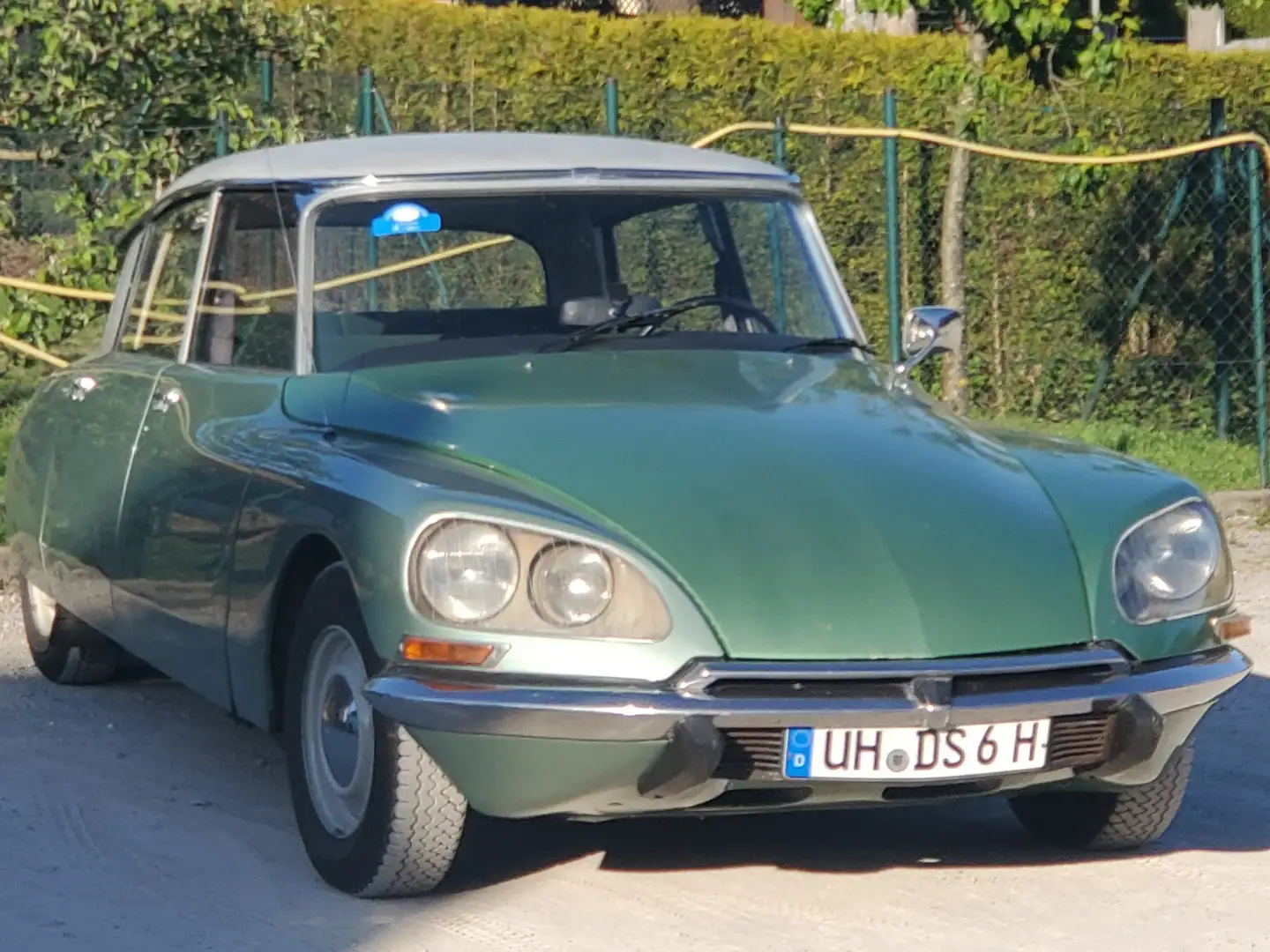 Citroen DS D Super 5 Verde - 1