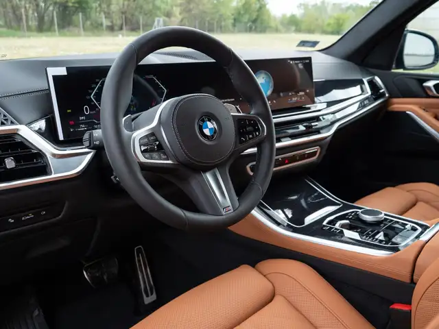 BMW X5 X5 view 12