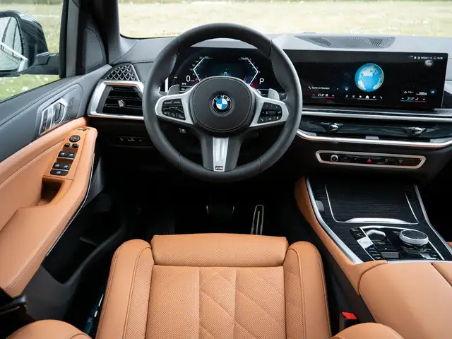 BMW X5 X5 view 13