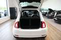 Fiat 500 GLAZEN PANODAK*MODEL 2023*SPLINTERNIEUW*TOP !!! Wit - thumbnail 16