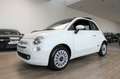 Fiat 500 GLAZEN PANODAK*MODEL 2023*SPLINTERNIEUW*TOP !!! Wit - thumbnail 3