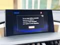 Lexus NX 300 300h Executive 4WD - thumbnail 23