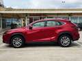 Lexus NX 300 300h Executive 4WD - thumbnail 9