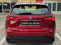 Lexus NX 300 300h Executive 4WD - thumbnail 7
