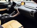 Lexus NX 300 300h Executive 4WD - thumbnail 30