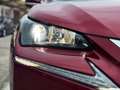 Lexus NX 300 300h Executive 4WD - thumbnail 11