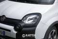 Fiat Panda Pandina 1.0 Firefly Hybrid 70CV Cross Blanc - thumbnail 3