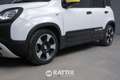 Fiat Panda Pandina 1.0 Firefly Hybrid 70CV Cross Blanc - thumbnail 4
