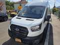 Ford Transit 2,0 EcoBlue L4H3 350 Trend Weiß - thumbnail 1