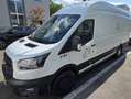 Ford Transit 2,0 EcoBlue L4H3 350 Trend Weiß - thumbnail 2