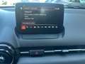 Mazda CX-3 CX-3 2.0 Exceed  2wd 121cv Blanco - thumbnail 19