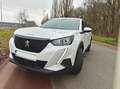 Peugeot 2008 2008 PureTech 130 EAT8 Active Pack Blanc - thumbnail 11