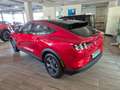 Ford Mustang Mach-E Mach-E Extended 99KW mit Technologiepaket 2 Rojo - thumbnail 6