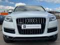 Audi Q7 3.0 TDI quattro S-Line°360°Pano°6-Sitze Weiß - thumbnail 2
