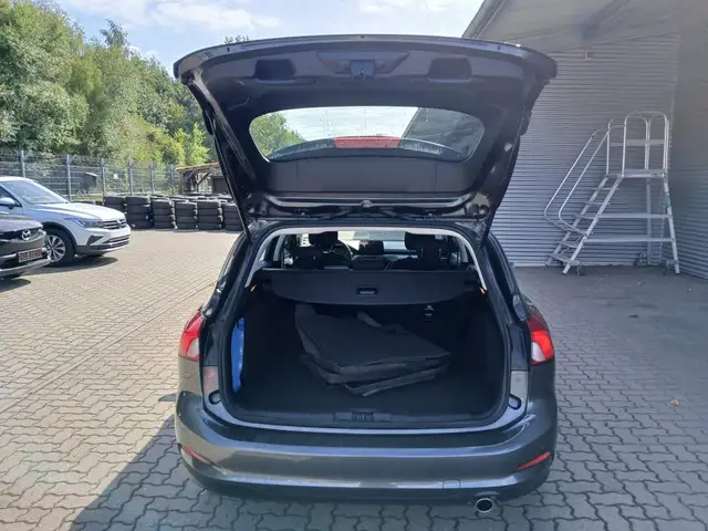 Ford Focus view 9