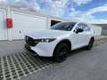 Mazda CX-5 G165 e-Skyactiv MHEV Homura Aut. Weiß - thumbnail 1