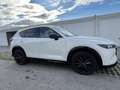 Mazda CX-5 G165 e-Skyactiv MHEV Homura Aut. Weiß - thumbnail 3