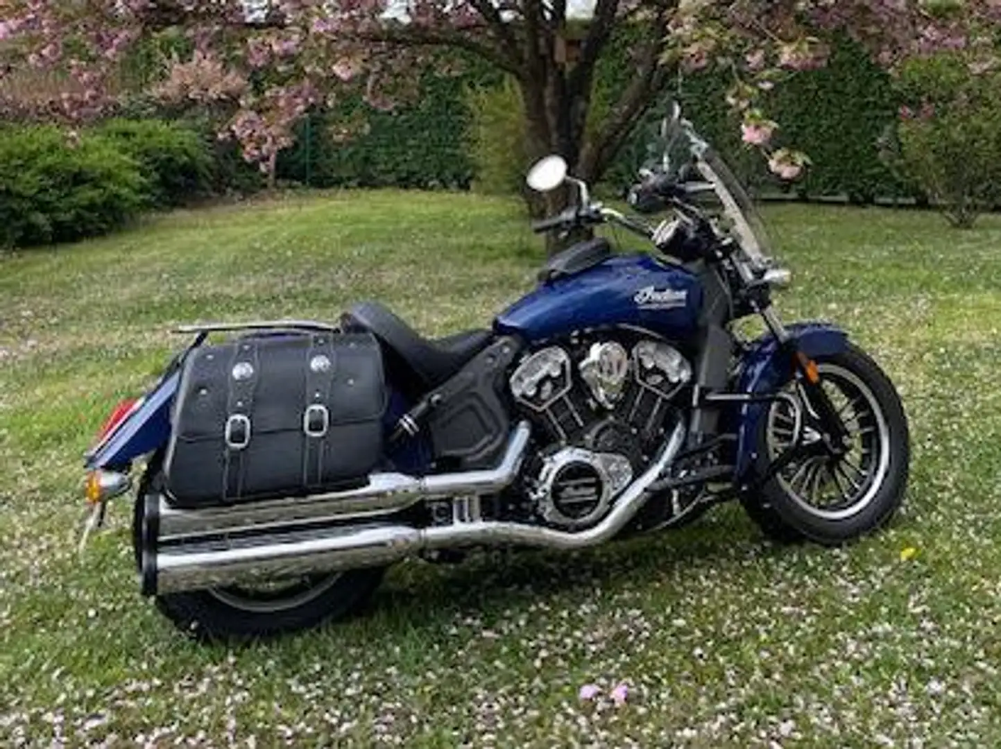 Indian Scout Blue - 1