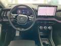 Skoda Kodiaq 2.0 TDI DSG 4x4 SELECTION AHK MATRIX NAVI GJR Grau - thumbnail 12