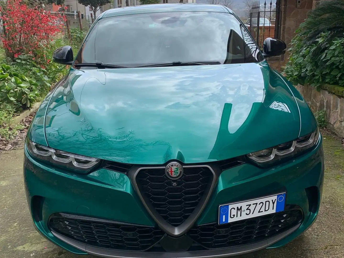 Alfa Romeo Tonale Tonale+1.3+phev+Speciale+Q4+280cv+at6 Verde - 2