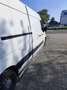 Renault Master Master 2.3 dCi 35 L2H2 (E5) - thumbnail 3
