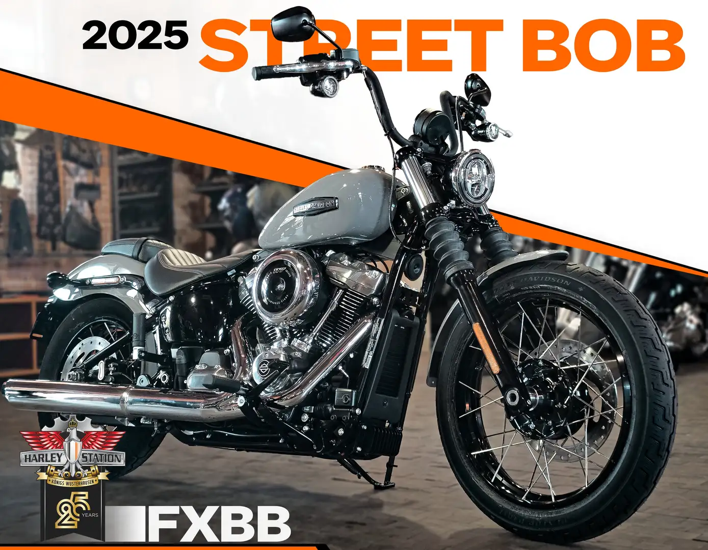 Harley-Davidson Street Bob FXBB Softail Street Bob 117 Gris - 1